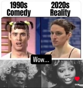 Stupid Bar Memes d2656941ea9d628a