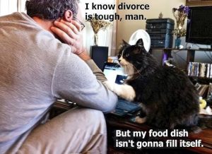 Stupid Bar Memes d94150d32f9e4454
