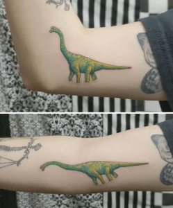 Stupid Bar Memes dinosaurstattoospicss1s668f83526c658ss700