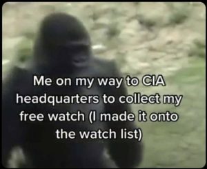 Stupid Bar Memes e712367c668d6a2f