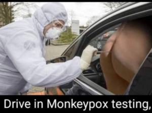 Stupid Bar Memes eecea55f4b28e5c9