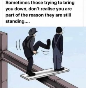 Stupid Bar Memes f569083365452560