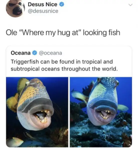Stupid Bar Memes fezmtfzy7did1