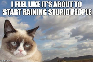 Stupid Bar Memes gcraining