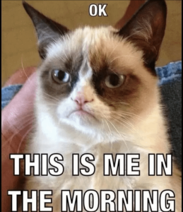 Stupid Bar Memes mesinsthesmornings
