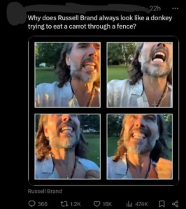 Stupid Bar Memes nnz4gwf0vged1