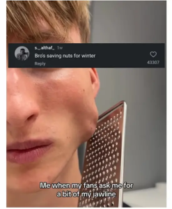 Stupid Bar Memes ogvez3ftv0ld1