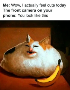Stupid Bar Memes pfbid02nWnTBYpBcdsvRM6wSbyh65vKFvjPjJNGpB9oxxNpCyGu6vy78tkk44S3Cw8mUWADlrefembedspostsstnss2COspngss700s669e58ee94634ss700