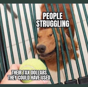 Stupid Bar Memes politicalls211s