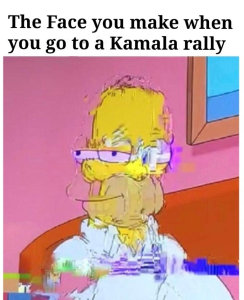 Stupid Bar Memes politicalls215s