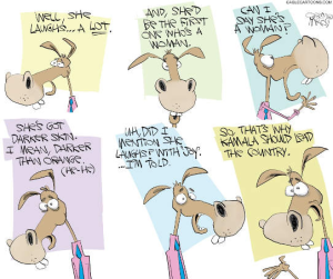 Stupid Bar Memes politicallsj8s