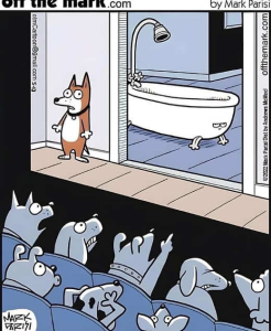 Stupid Bar Memes politicallsl