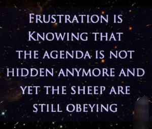 Stupid Bar Memes politicallsn23