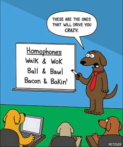 Stupid Bar Memes politicallsq1s