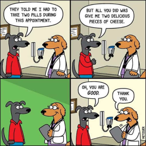 Stupid Bar Memes politicallyincorrecthumor 6