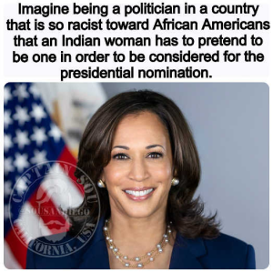 Stupid Bar Memes politicallysx7s