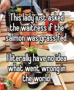 Stupid Bar Memes politicallysz31s