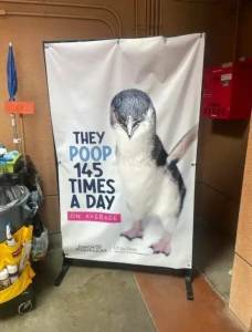 Stupid Bar Memes sspicss4717s640shighs46