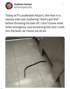 Stupid Bar Memes sspicss4721s640shighs08