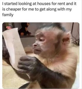 Stupid Bar Memes whensnyouresnlookingsnatsnhousessntosnrent
