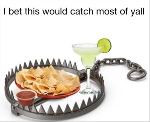 Stupid Bar Memes whensyouseatschips