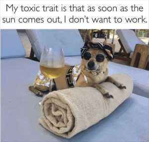 Stupid Bar Memes working