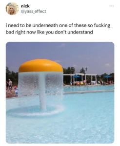 Stupid Bar Memes yjYUBbS