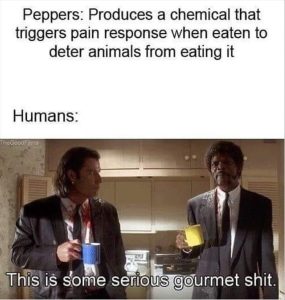Stupid Bar Memes youreseatingspeppers