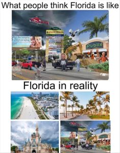 Stupid Bar Memes youresinsflorida