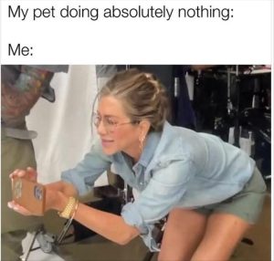Stupid Bar Memes yourespet
