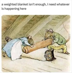 Stupid Bar Memes youresthesblanket