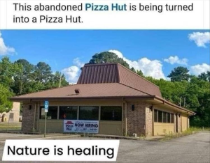 Stupid Bar Memes youreswantingspizza