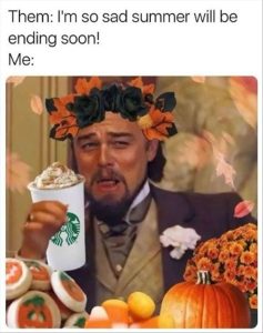 Stupid Bar Memes youreswantingspumpkinsspice