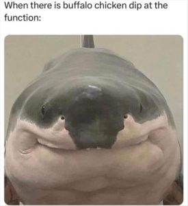 Stupid Bar Memes youreswantingssharks