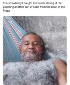 Stupid Bar Memes youreswantingsstrawberries