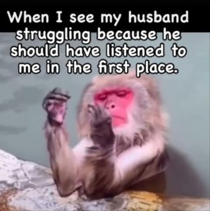 Stupid Bar Memes youreswantingsthesstrugglesbus