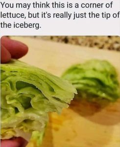 Stupid Bar Memes youreswantingstosfood