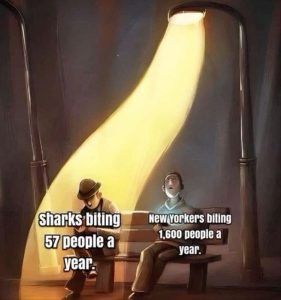 Stupid Bar Memes youreswantingstosgostosnewsyork