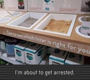 Stupid Bar Memes youreswantingstosteststhese