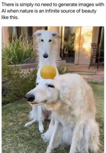 Stupid Bar Memes youresweirdsdogs