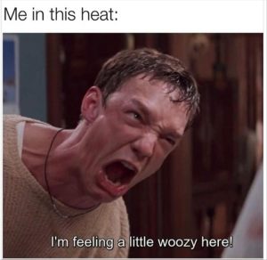 Stupid Bar Memes youreswoozy