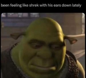 Stupid Bar Memes youresyoussad