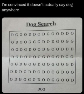 Stupid Bar Memes youstrystosfindsthesdog