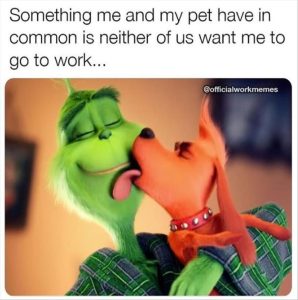 Stupid Bar Memes youswantstosgostoswork