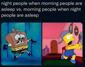 Stupid Bar Memes z867oxk8l8id1