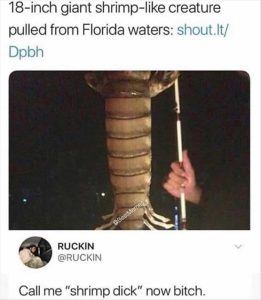 Stupid Bar Memes zsasfunnys126