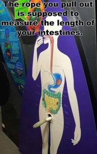 Stupid Bar Memes zsasfunnys155