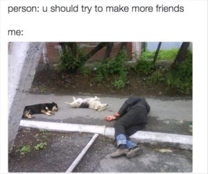 Stupid Bar Memes zsasfunnys191
