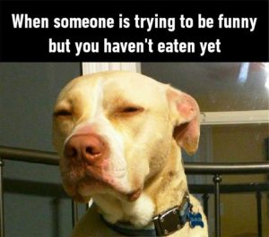 Stupid Bar Memes zsasfunnys1s1s1