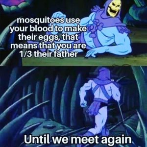 Stupid Bar Memes zsasfunnys221